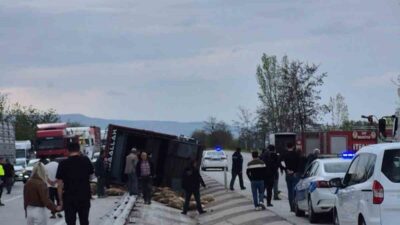 Afyonkarahisar’da kontrolden çıkarak devrilen kamyonda 53 küçükbaş hayvan telef olurken,