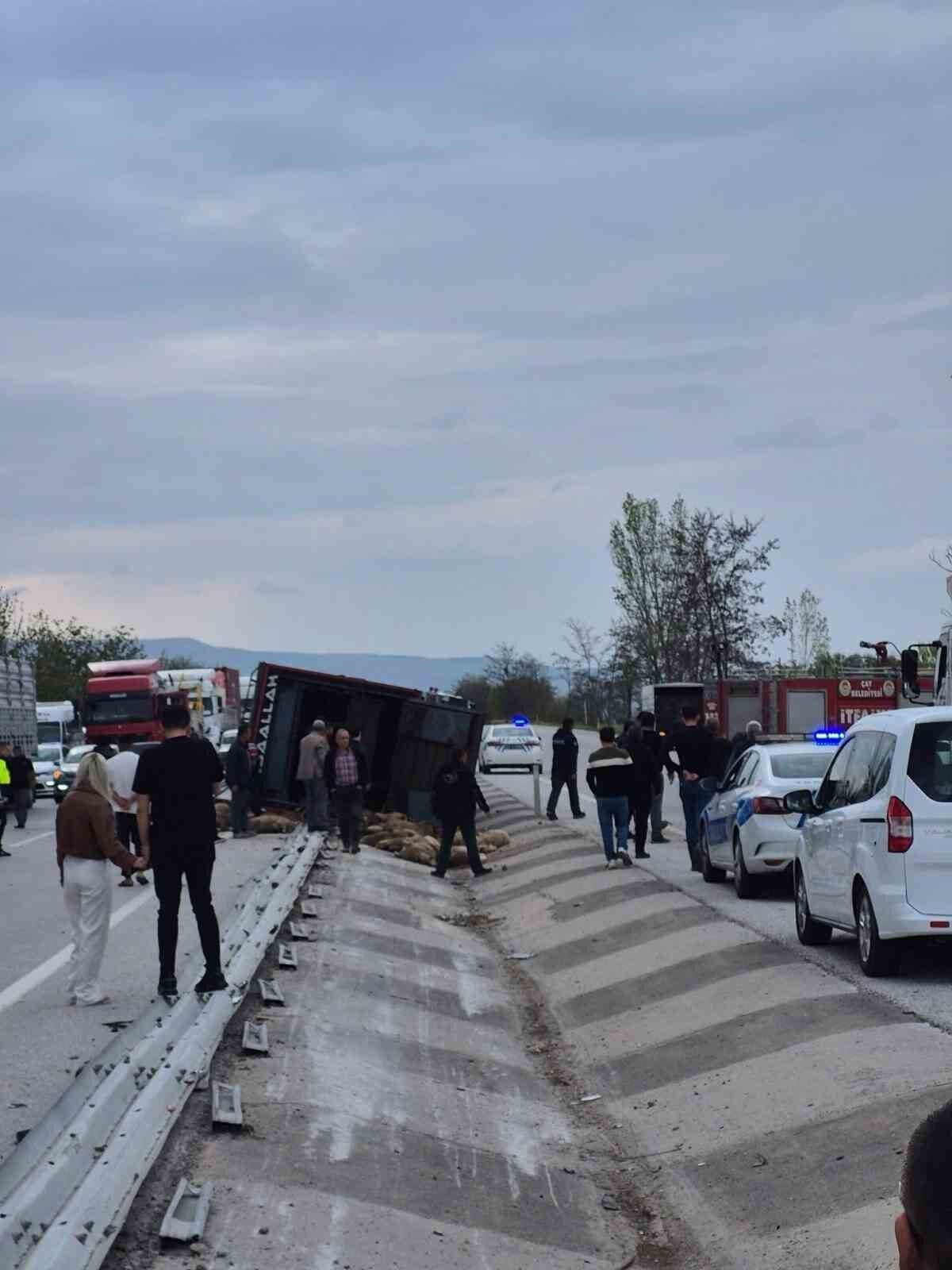 Afyonkarahisar’da kontrolden çıkarak devrilen kamyonda 53 küçükbaş hayvan telef olurken,