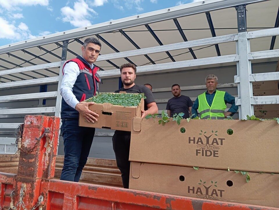 Afyonkarahisar’da 2 milyon TL’lik yüzde 50 hibe destekli ‘Domates Yetiştiriciliğinin