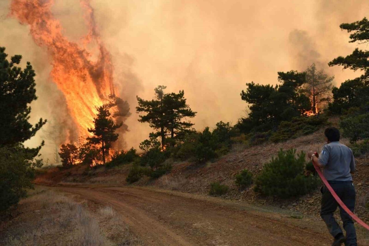 Muhtemel orman yangını riskini en aza indirmek amacıyla Eskişehir ve