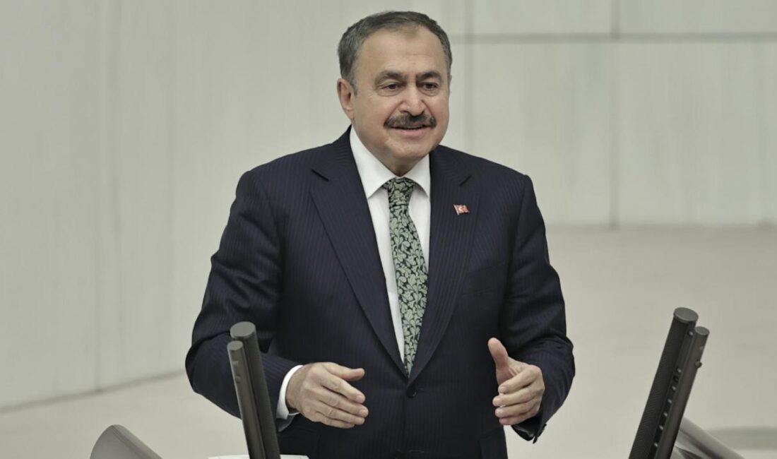 Eski Orman ve Su İşleri Bakanı Veysel Eroğlu, 27 Mayıs