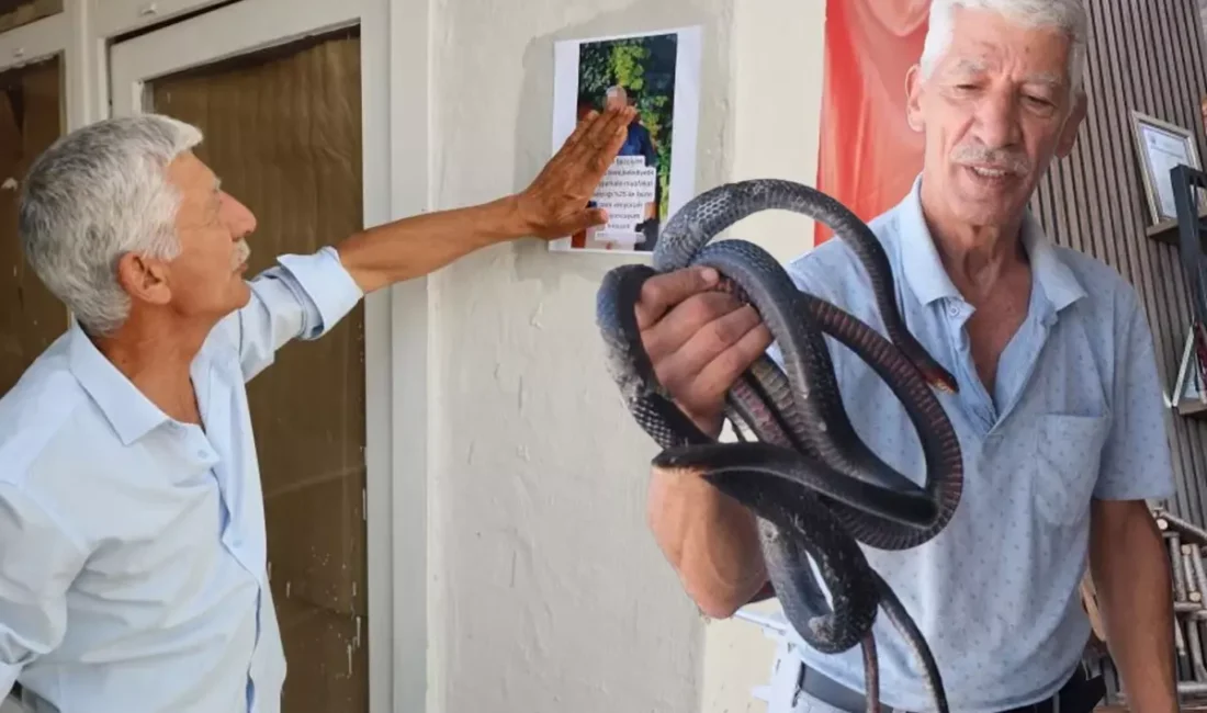 Adana otogarında ayran ve çiğ köfte videolarıyla sosyal medyada fenomen