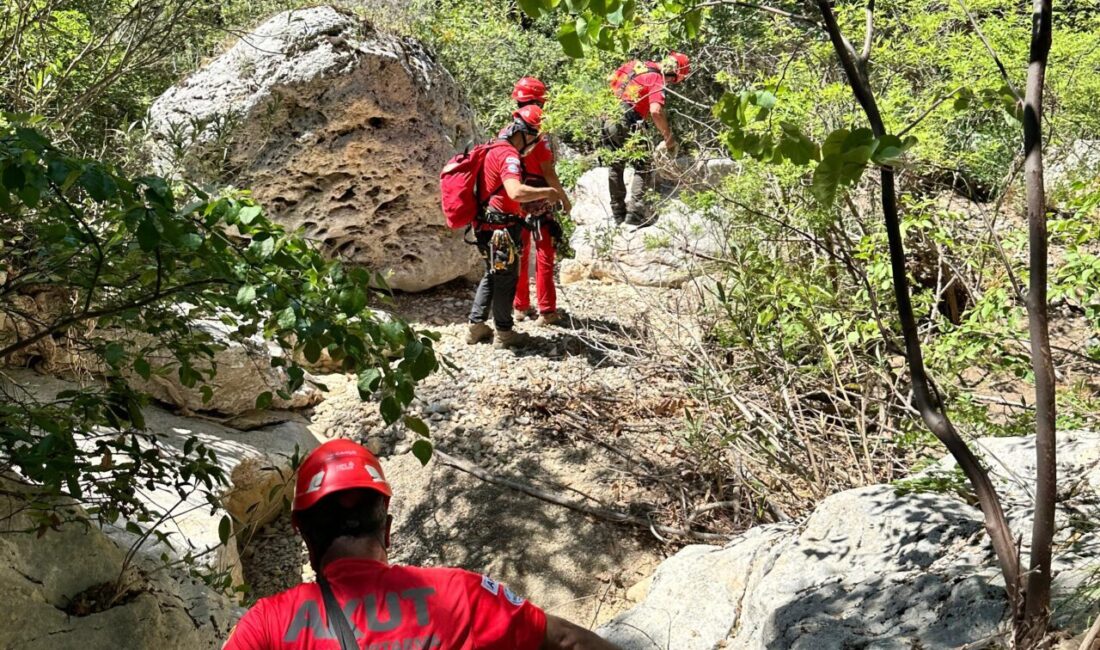 Muğla’nın Fethiye ilçesinde dere yatağındaki sarp arazide mahsur kalan köpek,