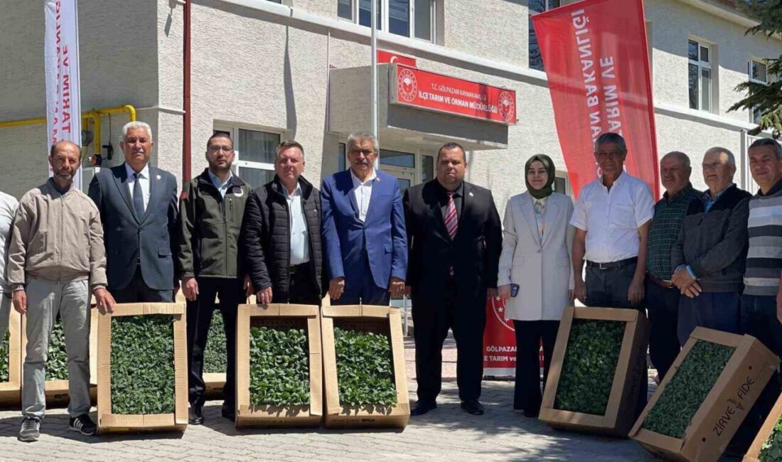 Bilecik’in Gölpazarı ilçesinde "Yerli ve Milli Çeşitlerinin Yaygınlaştırılması" projesi ile
