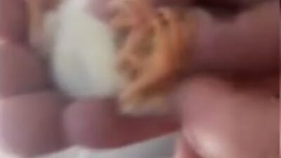 Çankırı’nın Çerkeş ilçesine bağlı Kadıköy köyünde tavuklardan birinin kuluçkasındaki yumurtadan