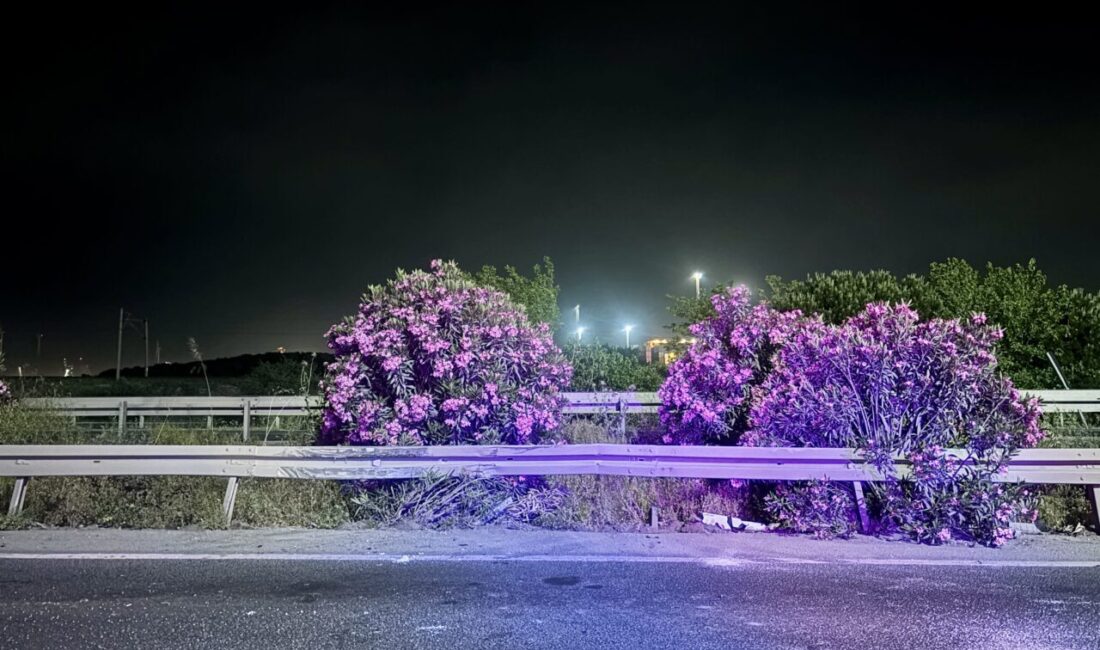 İzmir’in Aliağa ilçesinde tırın bariyere çarpması sonucu 2 kişi yaralandı.