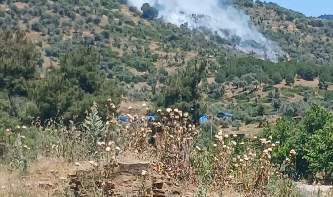 İzmir’in Bayındır ilçesinde, zeytinlik ve makilik alanda çıkan yangın ekiplerin