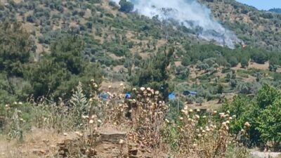 İzmir’in Bayındır ilçesinde, zeytinlik ve makilik alanda çıkan yangın ekiplerin