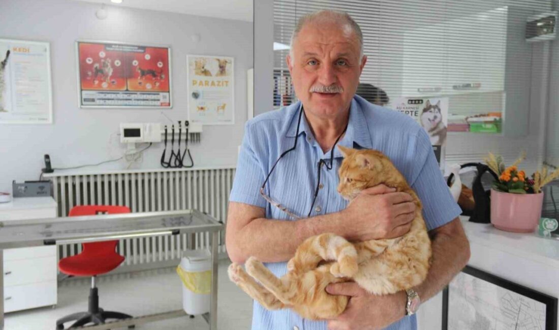 Eskişehir’de mesanesinden kan gelen kedisini acil bir şekilde veteriner kliniğine