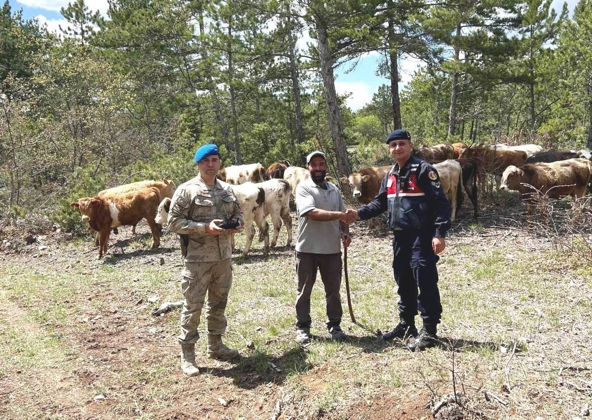 Kütahya’nın Soğukçeşme köyü ormanlık alanında 3 gün önce kaybolan 19