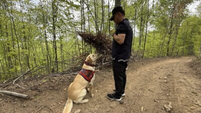 Kütahya’nın Domaniç ilçesinde 3 gündür kayıp olan kişinin bulunmasına yönelik