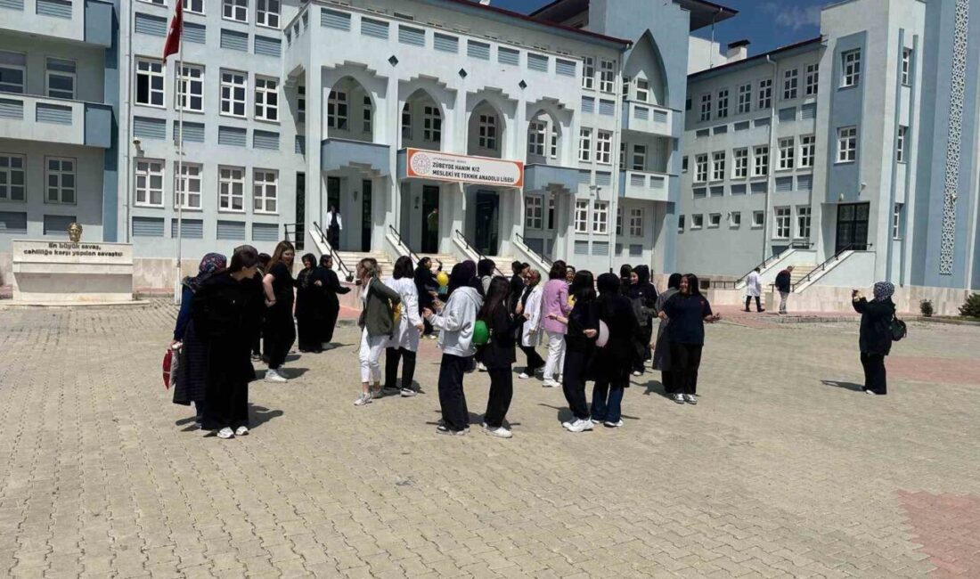 Afyonkarahisar Zübeyde Hanım Kız Mesleki ve Teknik Anadolu Lisesinde "Mesleğimi