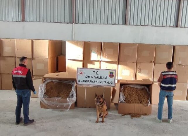 Menderes ilçesinde 6 kilo 840 gram kıyılmış kaçak tütün ele