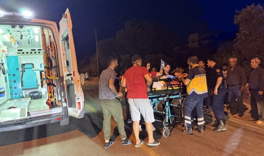 Muğla'nın Fethiye ilçesinde motosikletin çarptığı iki çocuk ile sürücüsü yaralandı.