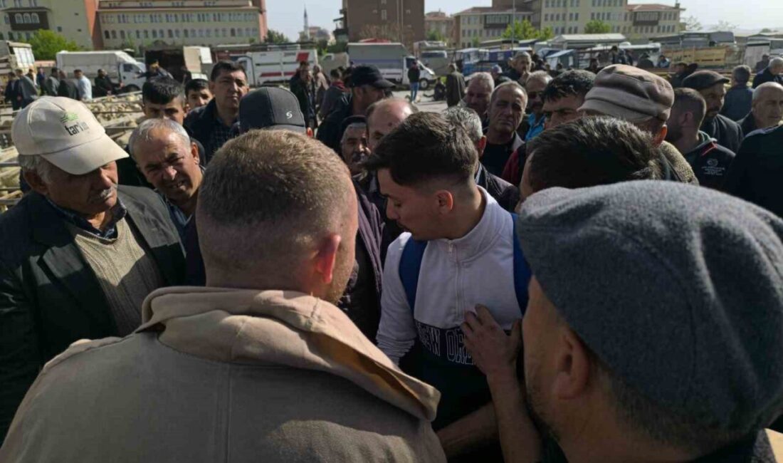 Afyonkarahisar’ın Şuhut ilçesinde kurulan ve bölgenin en büyük küçükbaş hayvan