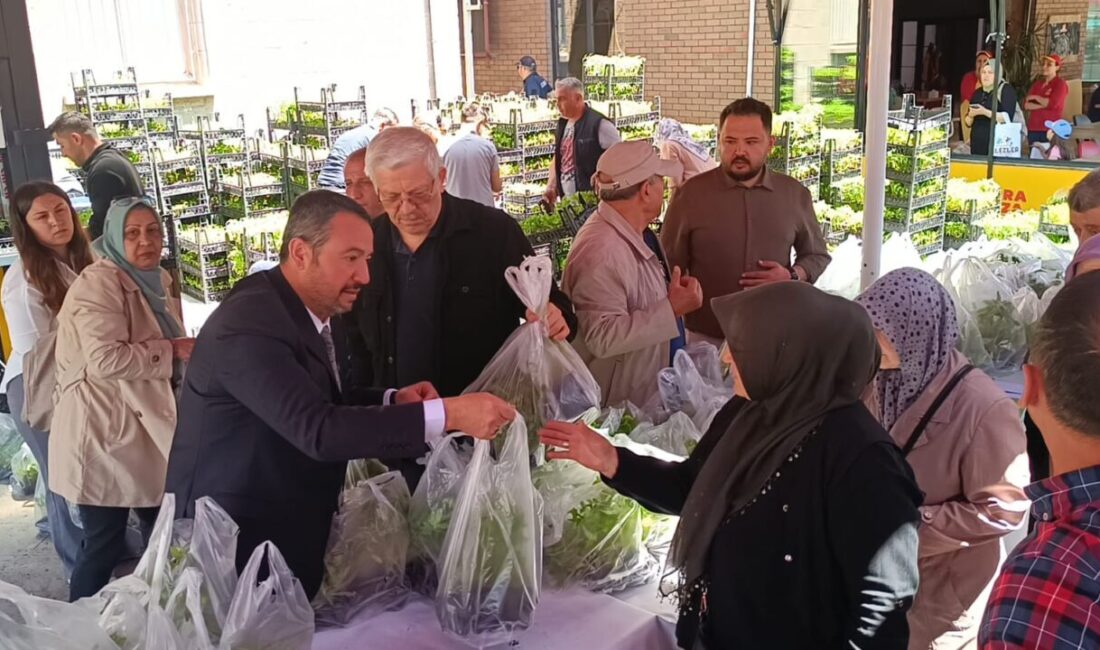 Sandıklı’da belediye tarafından jeotermal serada üretilen 100 bin fide vatandaşlara