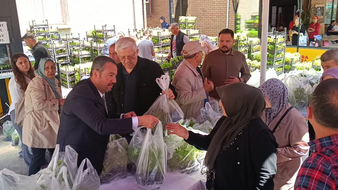 Sandıklı’da belediye tarafından jeotermal serada üretilen 100 bin fide vatandaşlara
