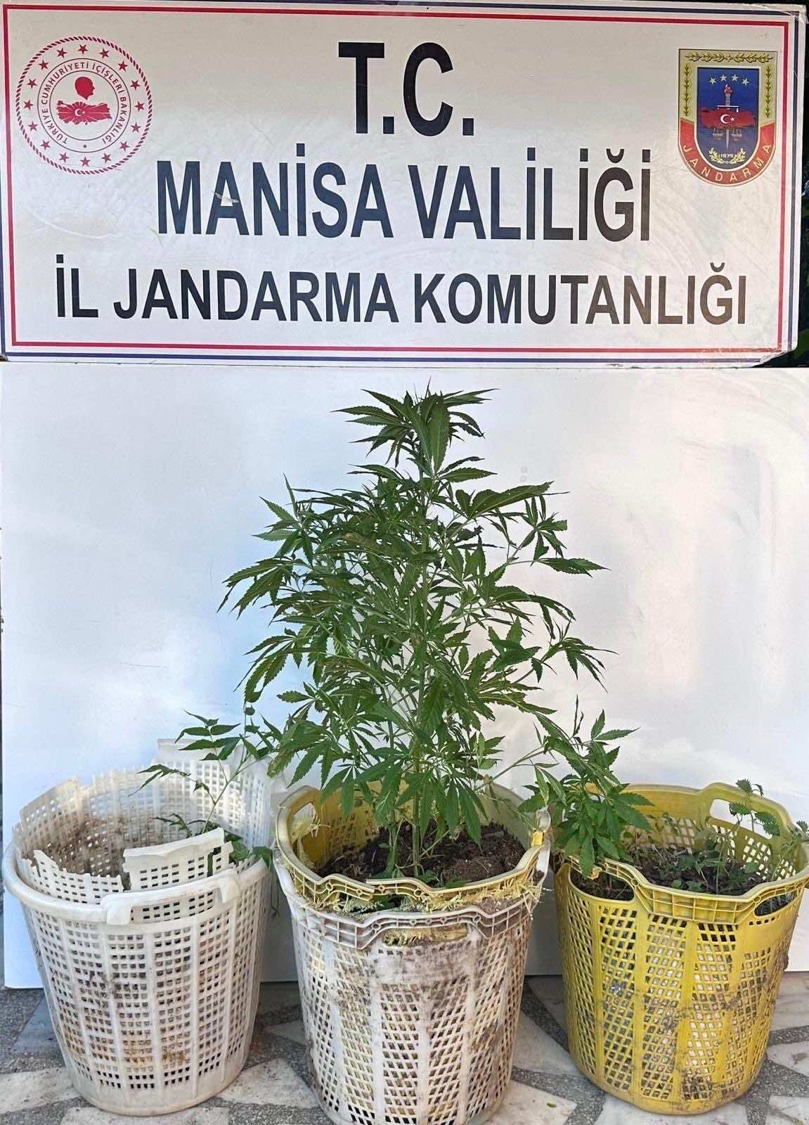 Manisa’nın Sarıgöl ilçesinde düzenlenen uyuşturucu operasyonunda 1 şüpheli gözaltına alındı.