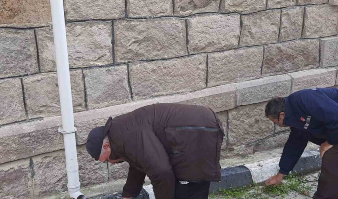 Afyonkarahisar Sinanpaşa Kaymakamlığı himayesinde yürütülen "Ekibini Kur, İyiliğe Dönüştür" projesi