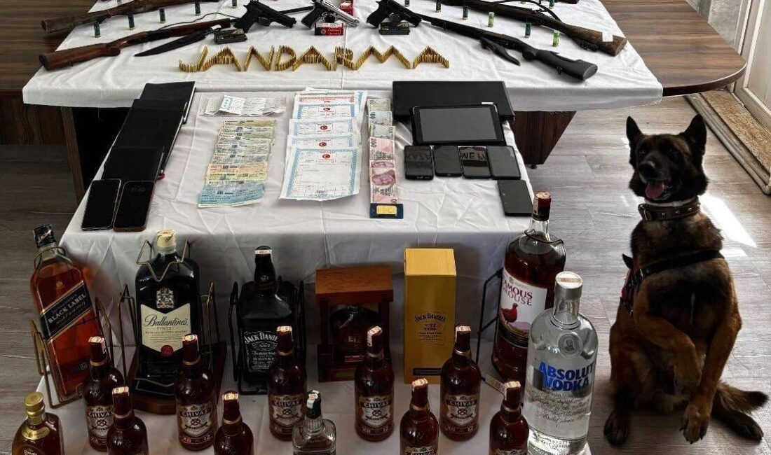 Muğla'nın Köyceğiz ilçesinde düzenlenen tefecilik operasyonunda 7 şüpheli gözaltına alındı.