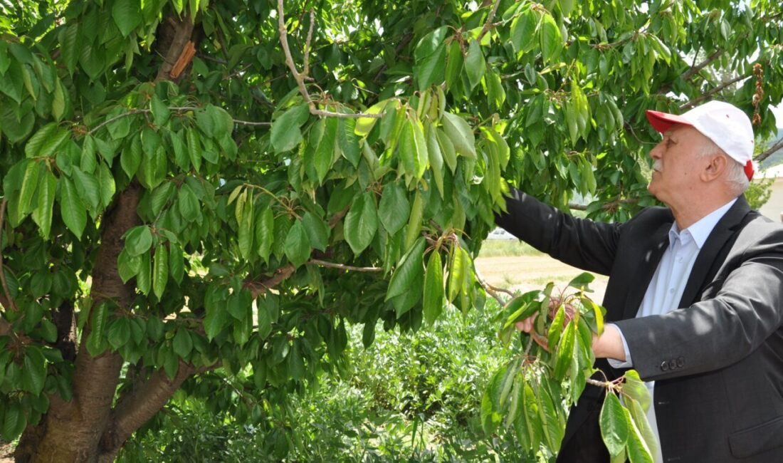 Türkiye Ziraat Odaları Birliği (TZOB) Genel Başkanı Şemsi Bayraktar, Kütahya'da