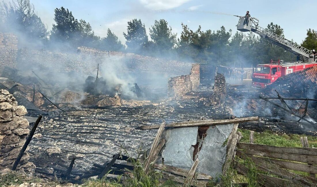 Uşak’ın Ulubey ilçesinde ahırda çıkan yangında 54 kuzu telef oldu.
