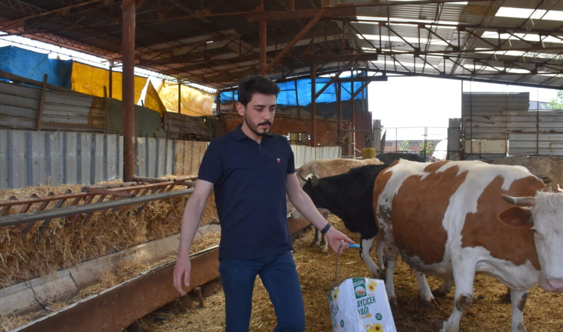 - Afyonkarahisarlı üretici Enes Kelem:
- "Arazilerde şu anda yapay zeka