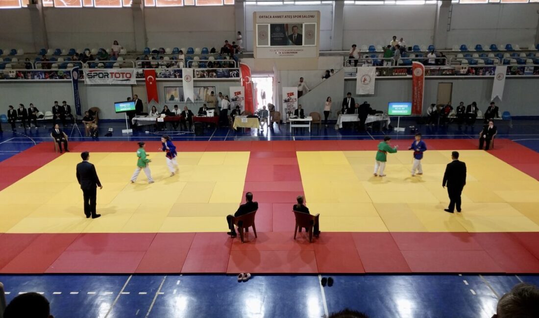 Türkiye Gelişmekte Olan Spor Branşları Federasyonu tarafından düzenlenen Yıldızlar Türkiye