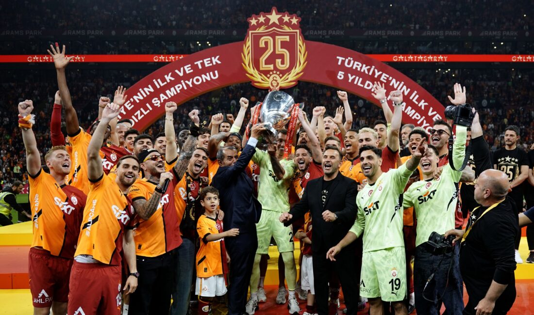 Profesyonel liglerde 2024-2025 sezonu tamamlanırken, ligler gelecek sezon 65 ilden