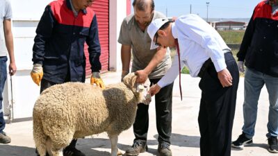 Afyon Kocatepe Üniversitesi (AKÜ) Rektörü Prof. Dr. Mehmet Karakaş, AKÜ