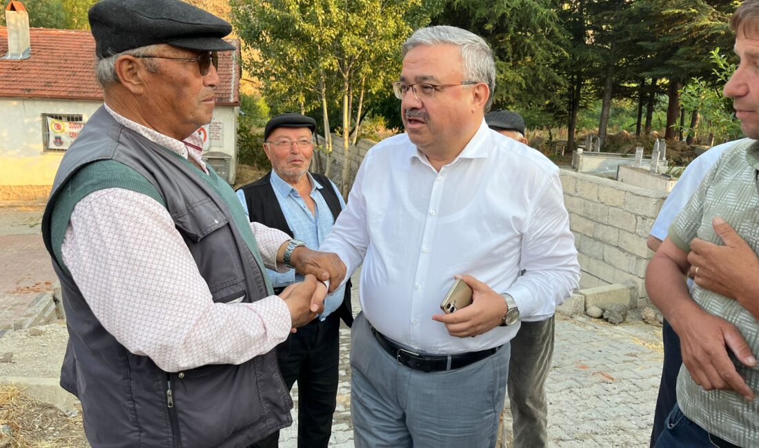 AK Parti Afyonkarahisar Milletvekili ve TBMM Divan Katip Üyesi İbrahim