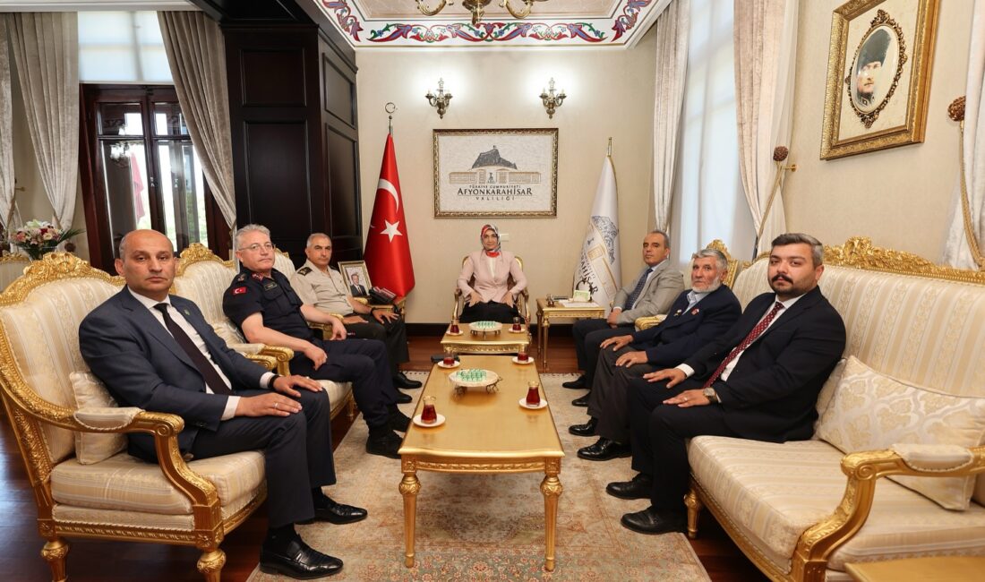 Afyonkarahisar Valisi Doç. Dr. Kübra Güran Yiğitbaşı, kamu kurumları, üniversite