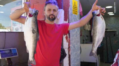 Samsun’da Kurban Bayramı’nın ardından en çok tercih edilen balık Somon
