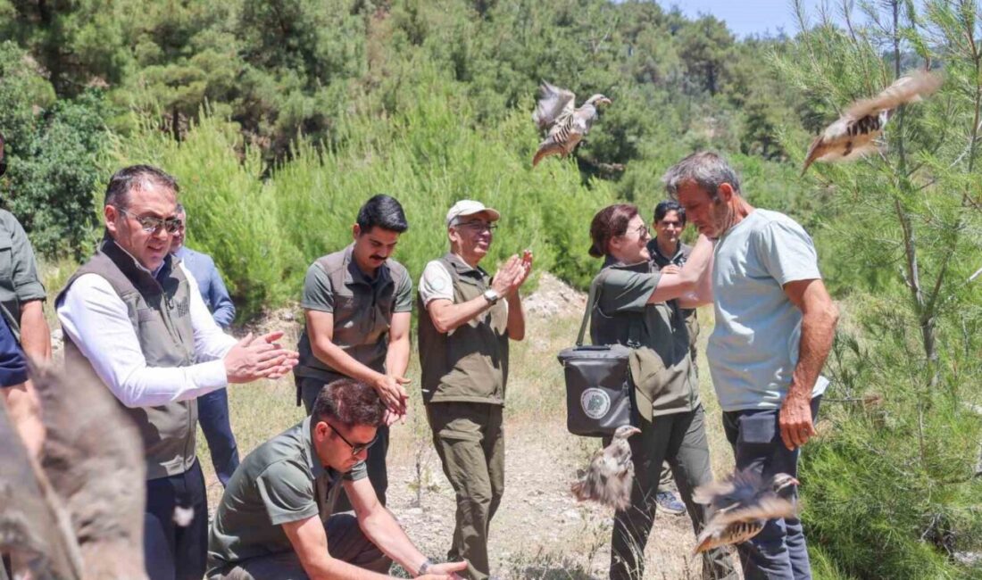Doğal yaşamın korunması ve biyolojik çeşitliliğin sürdürülebilirliğinin sağlanması amacıyla yürütülen
