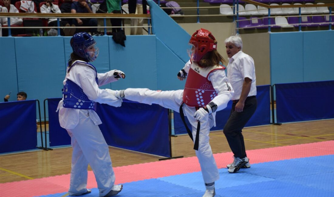 Taekwondo Analig İl Seçmeleri yapıldı Afyonkarahisar’da büyük bir heyecanla gerçekleştirilen Taekwondo Analig İl Seçmeleri müsabakaları,