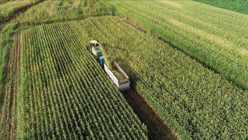 
Türkiye genelinde yapılacak tarım sayım seferberliğinin Temmuz ayında başlaması planlanırken,