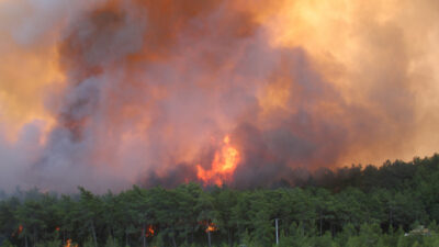İzmir'in Foça ilçesinde ormanlık alanda çıkan yangın havadan ve karadan