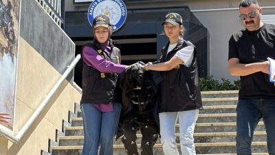 İstanbul’un Beşiktaş ilçesinde, Demet Ç. (34) isimli mühendis, evinde birlikte