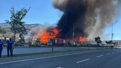 Kocaeli'nin Çayırova ilçesinde palet fabrikası alev alev yanıyor. Bölgeye çok