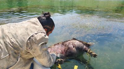Yozgat'ın Aydıncık ilçesinde çevre denetimi yapan Jandarma personeli barajda boğulmuş