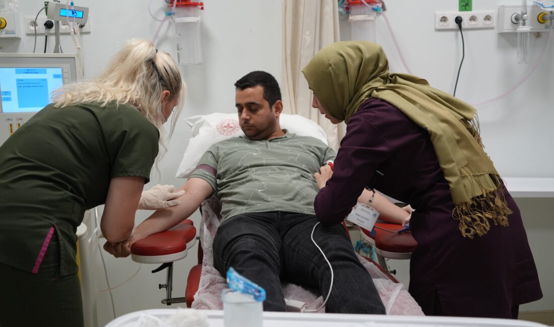 Samsun Eğitim ve Araştırma Hastanesi Terapötik Aferez Merkezi, 100. kök