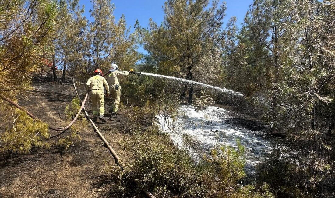 Adana’nın İmamoğlu ilçesinde ormanlık alanda çıkan yangın, ekiplerin hızlı müdahalesi