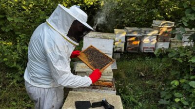 Dedesinden ilham alarak başladığı arıcılık faaliyetini profesyonel bir girişime dönüştüren