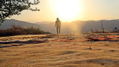 Türkiye'nin dört bir yanından ve yurt dışından gelen 15 bine