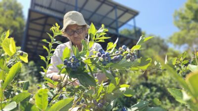 Zonguldak'ta 35 yıllık tıp kariyerinin ardından emekli olan Çocuk Sağlığı