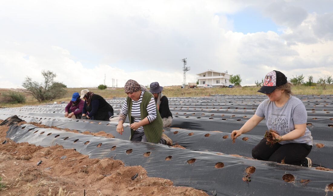 Nevşehir'de yaşayan girişimci Nuray Görgün, kızı için bir gelecek kurma