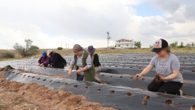Nevşehir'de yaşayan girişimci Nuray Görgün, kızı için bir gelecek kurma