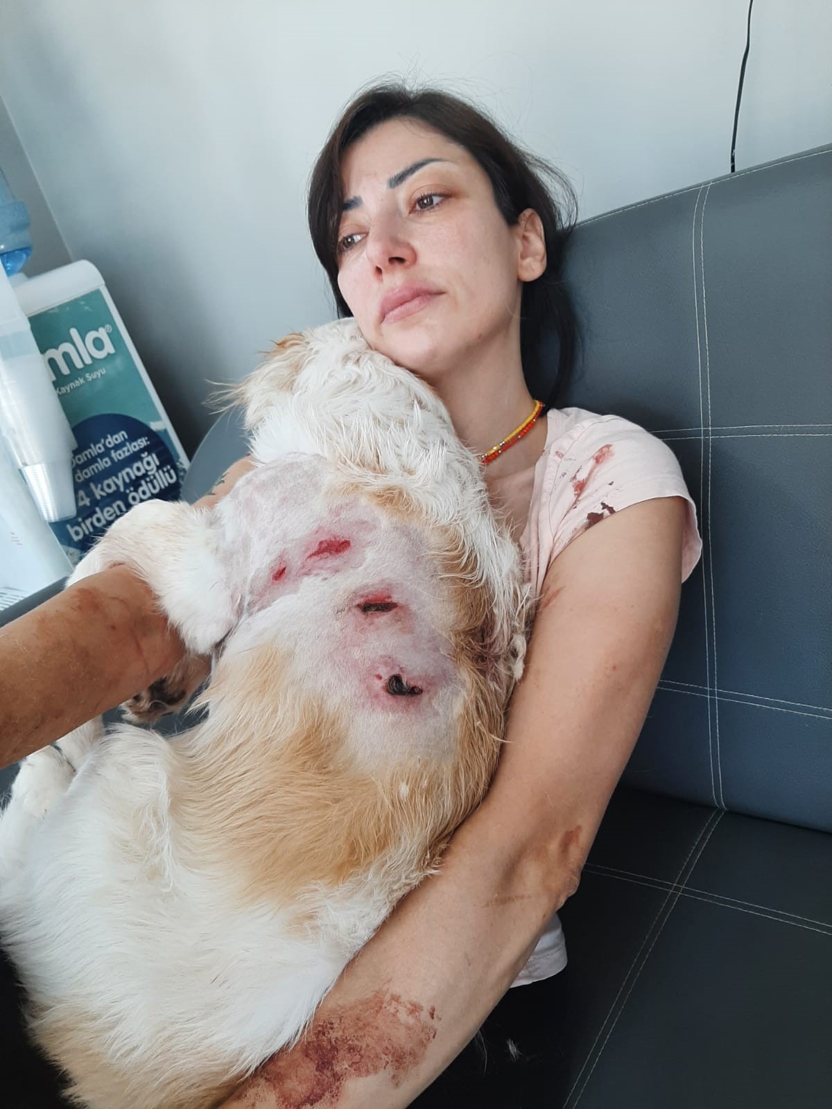 Bursa'nın Nilüfer ilçesinde genç bir kadın ve köpeği, başıboş iki