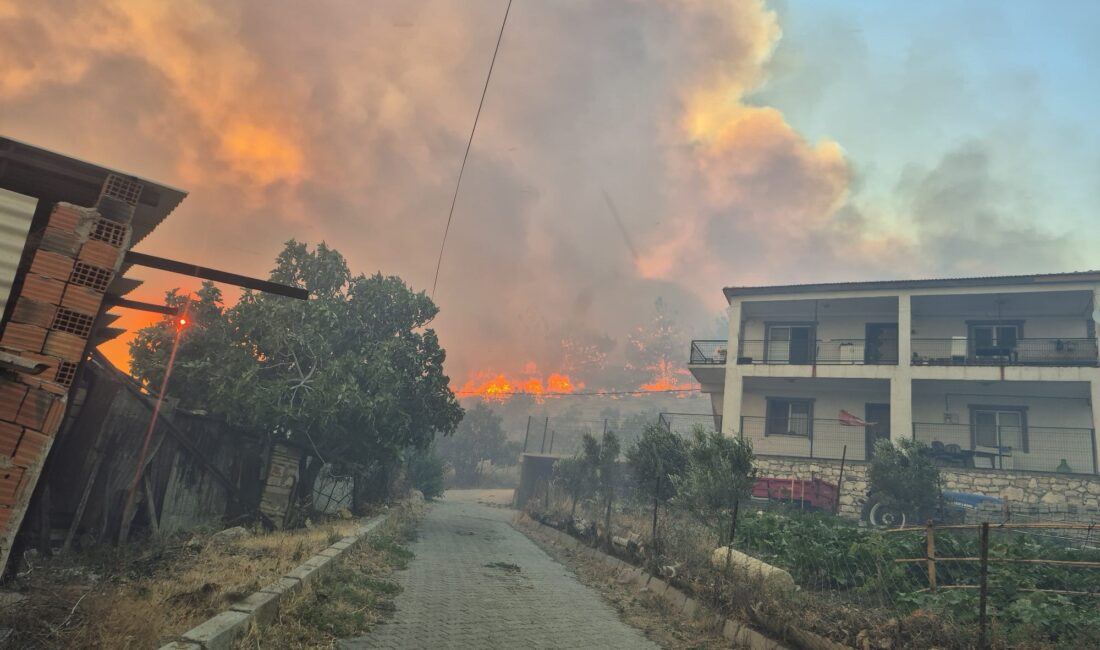 İzmir'in Aliağa ilçesinde dün akşam saatlerinde sanayi tesisleri yakınında başlayan