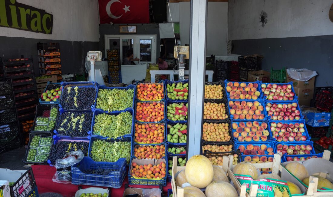 İstanbul'daki pazar ve marketlerde meyve fiyatları, üretim bölgelerini etkisi altına